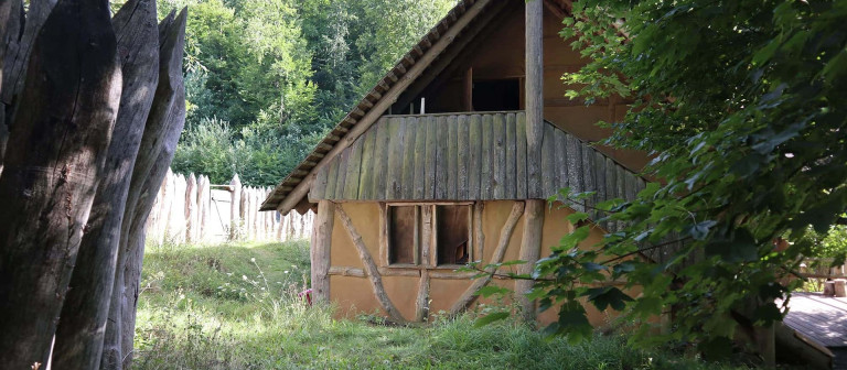 csm IMG 1925 6a2ae55138 768x336